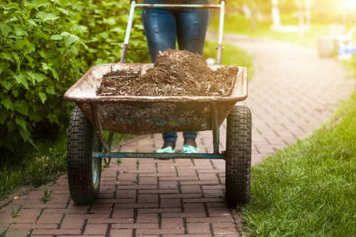 Local community and sustainable waste management in Selhurst