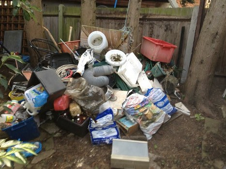 Professional waste clearance team at work in Harlington